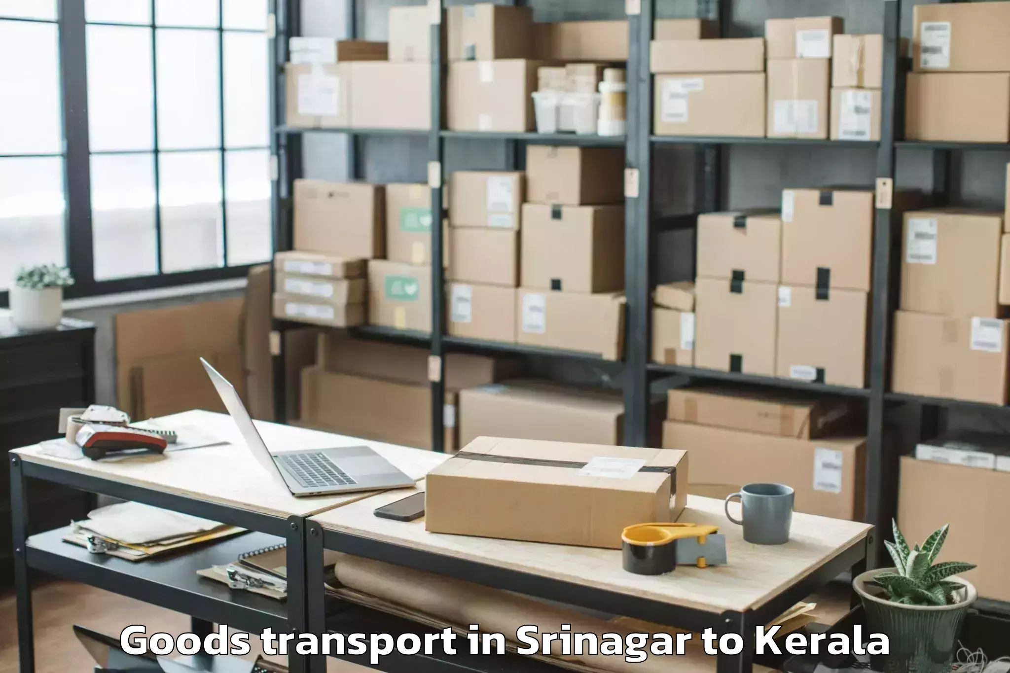 Leading Srinagar to Alwaye Goods Transport Provider